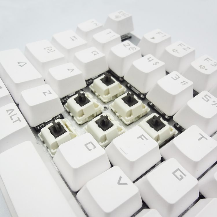 Durock Koala (Tactile) - 10 sztuk w opakowaniu 6