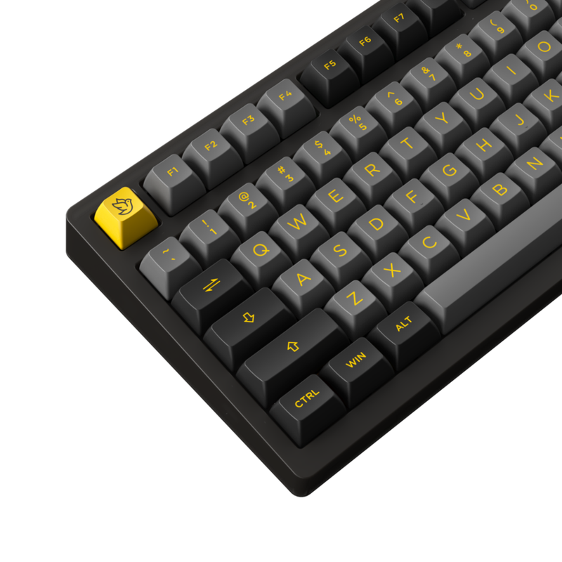Akko PC75B Plus Black & Gold 12