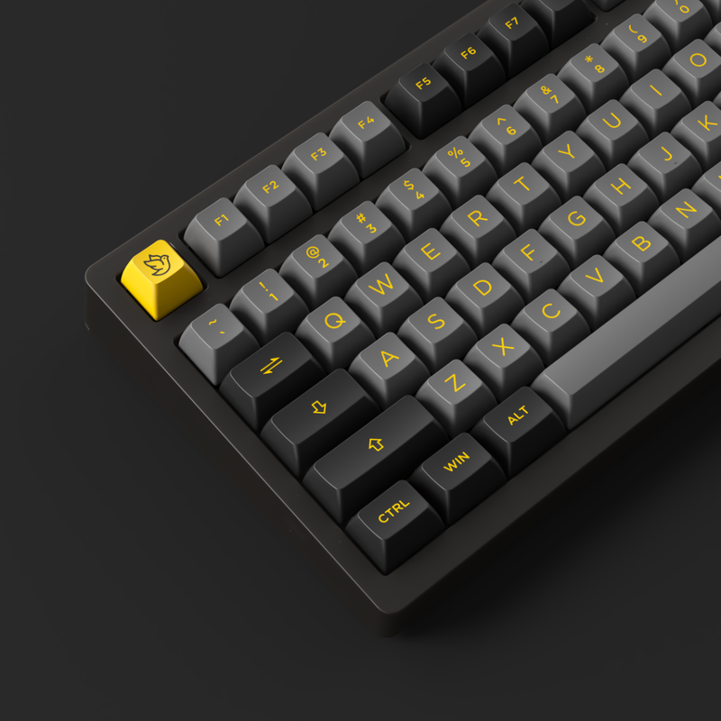 Akko PC75B Plus Black & Gold 11
